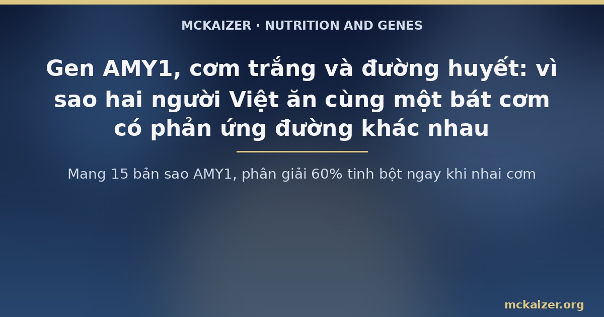 Mang 15 bản sao AMY1, phân giải 60% tinh bột ngay khi nhai cơm