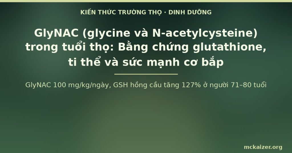 GlyNAC 100 mg/kg/ngày, GSH hồng cầu tăng 127% ở người 71–80 tuổi