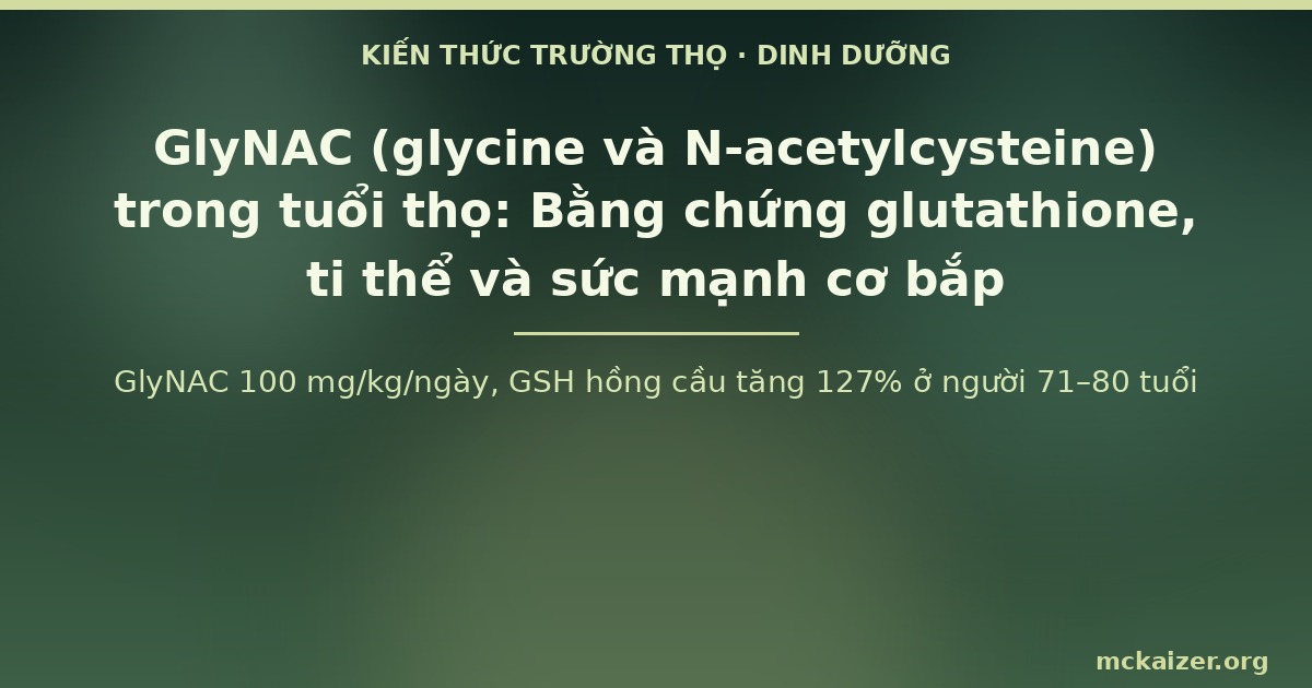GlyNAC 100 mg/kg/ngày, GSH hồng cầu tăng 127% ở người 71–80 tuổi