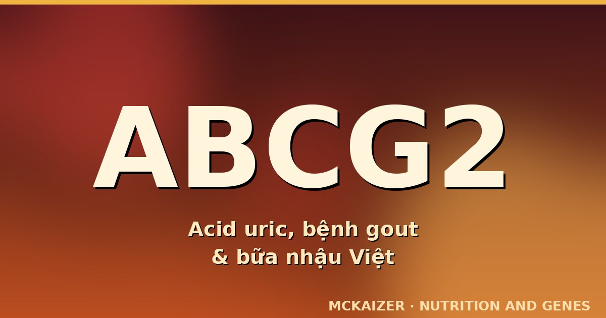 Gen ABCG2 — acid uric và bệnh gout ở người Việt