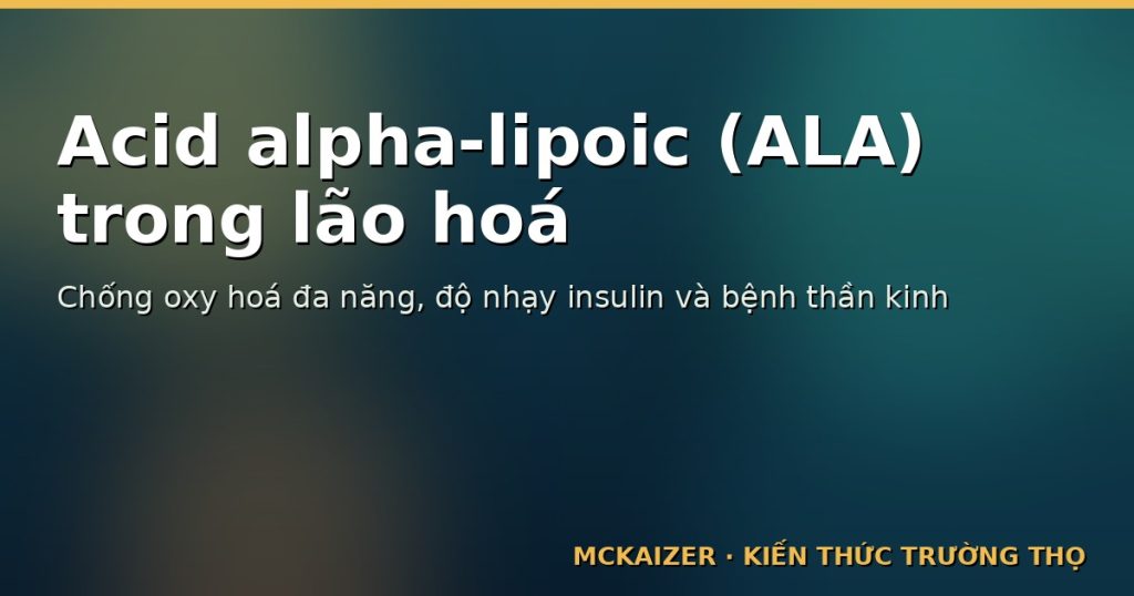 Hình minh hoạ bài viết: Acid alpha-lipoic (ALA) trong lão hoá: Bằng chứng chống oxy hoá, đường huyết, bệnh thần kinh và giới hạn của bổ sung