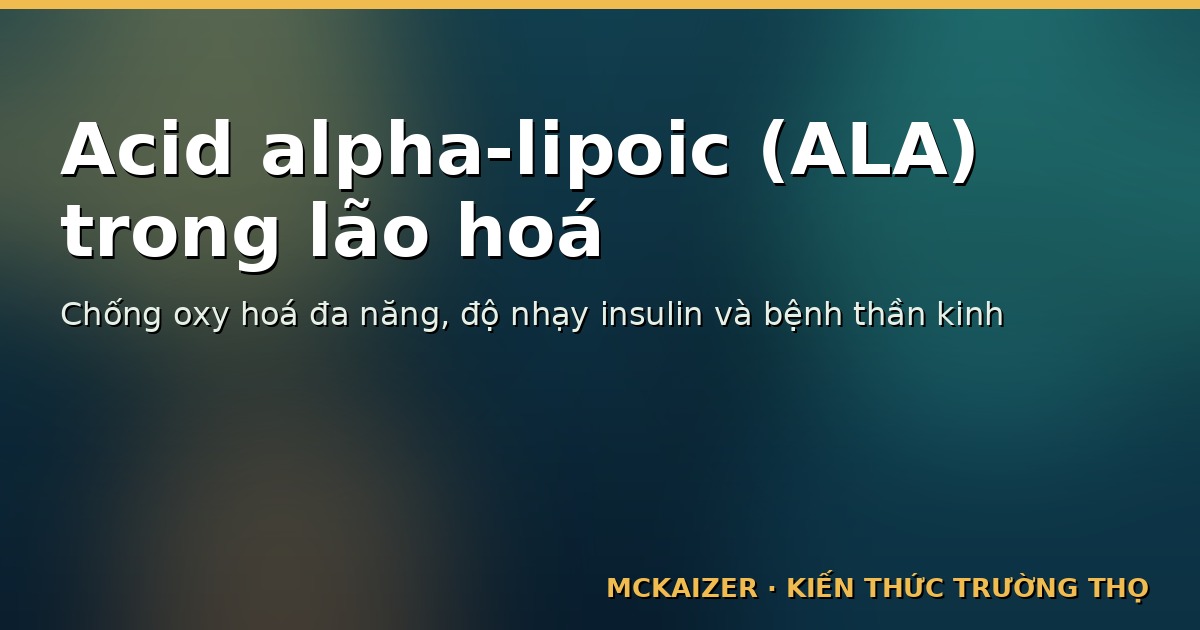 Hình minh hoạ bài viết: Acid alpha-lipoic (ALA) trong lão hoá: Bằng chứng chống oxy hoá, đường huyết, bệnh thần kinh và giới hạn của bổ sung