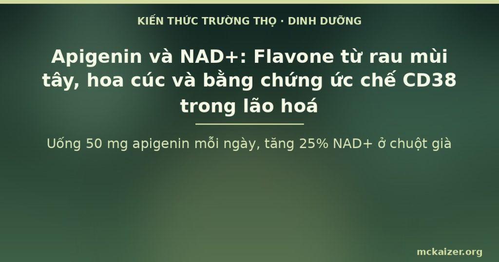 Uống 50 mg apigenin mỗi ngày, tăng 25% NAD+ ở chuột già