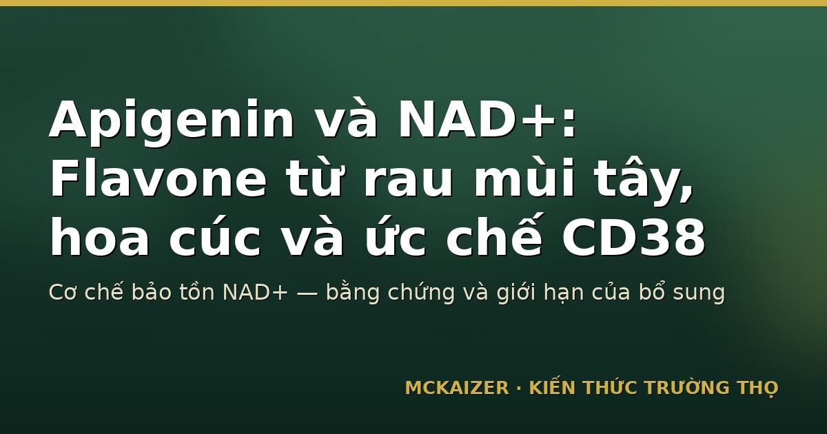 Thumbnail bài viết Apigenin và NAD+ — flavone từ rau mùi tây, hoa cúc và ức chế CD38
