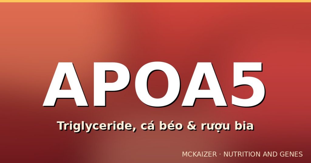 Gen APOA5 (rs662799), triglyceride máu và vai trò của cá béo