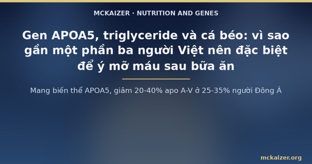 Mang biến thể APOA5, giảm 20-40% apo A-V ở 25-35% người Đông Á