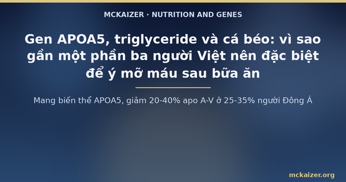 Mang biến thể APOA5, giảm 20-40% apo A-V ở 25-35% người Đông Á
