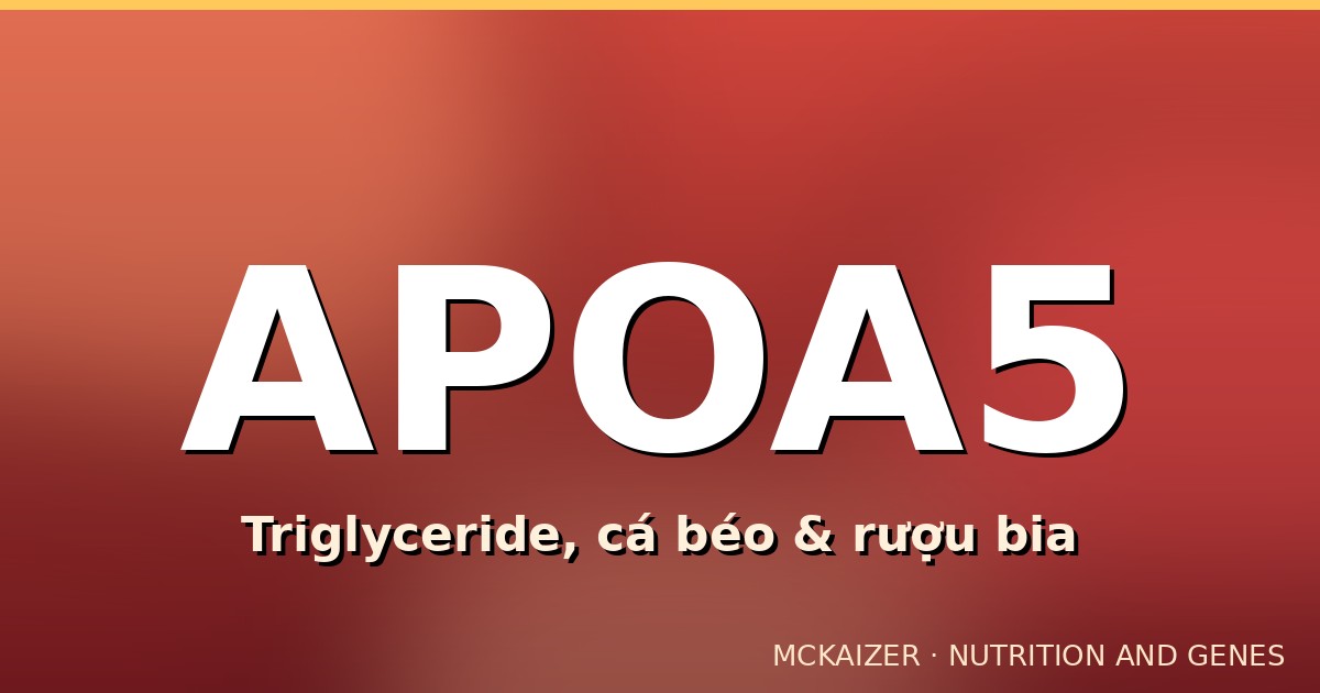 Gen APOA5 (rs662799), triglyceride máu và vai trò của cá béo