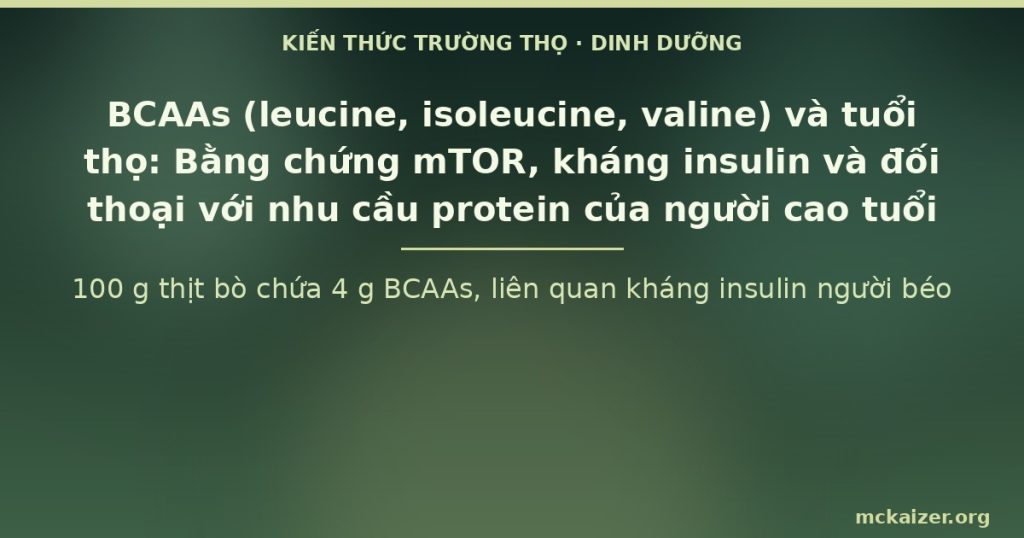100 g thịt bò chứa 4 g BCAAs, liên quan kháng insulin người béo