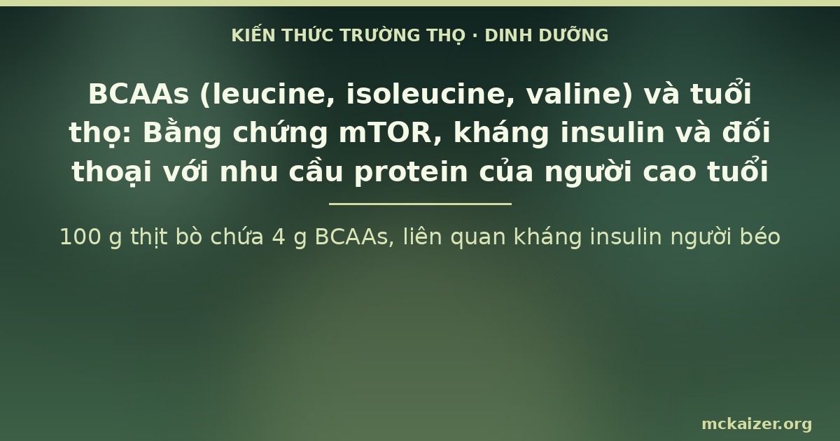 100 g thịt bò chứa 4 g BCAAs, liên quan kháng insulin người béo