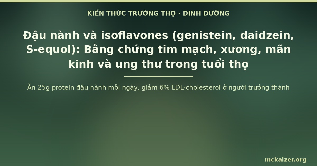 Ăn 25g protein đậu nành mỗi ngày, giảm 6% LDL-cholesterol ở người trưởng thành