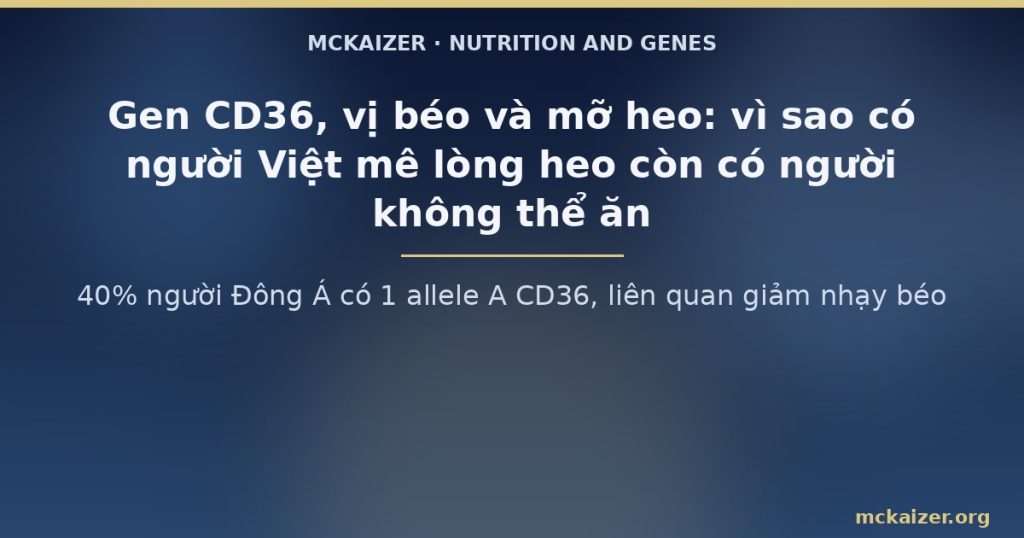 40% người Đông Á có 1 allele A CD36, liên quan giảm nhạy béo