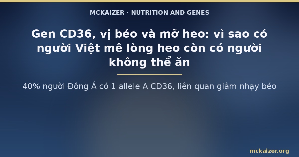 40% người Đông Á có 1 allele A CD36, liên quan giảm nhạy béo