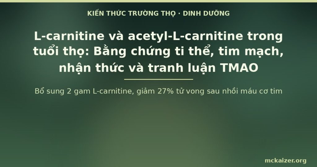 Bổ sung 2 gam L-carnitine, giảm 27% tử vong sau nhồi máu cơ tim