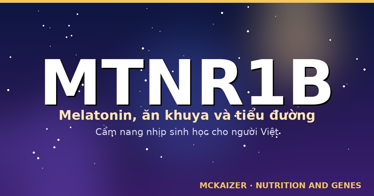 MTNR1B – melatonin, ăn khuya và tiểu đường (cẩm nang nhịp sinh học cho người Việt)