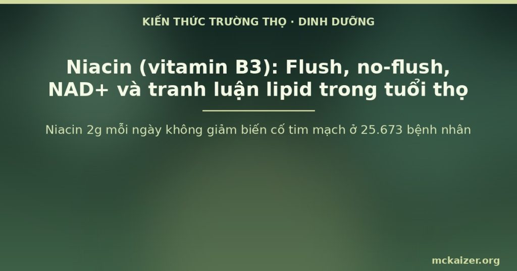 Niacin 2g mỗi ngày không giảm biến cố tim mạch ở 25.673 bệnh nhân