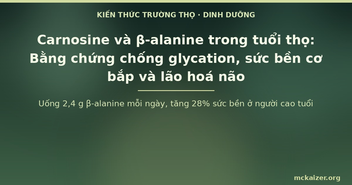 Uống 2,4 g β-alanine mỗi ngày, tăng 28% sức bền ở người cao tuổi
