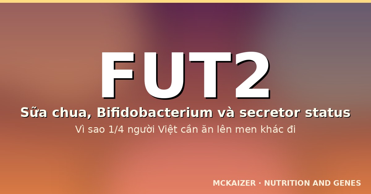 Hình minh hoạ gen FUT2, sữa chua và hệ vi sinh đường ruột cho người Việt
