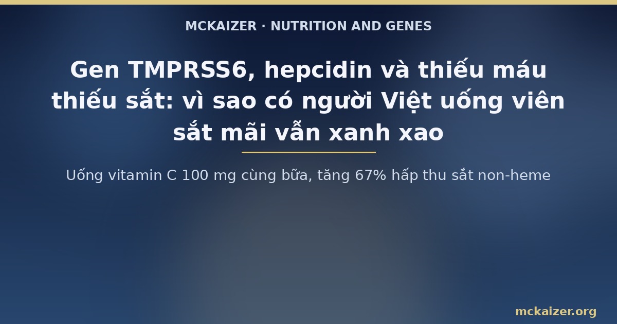 Uống vitamin C 100 mg cùng bữa, tăng 67% hấp thu sắt non-heme