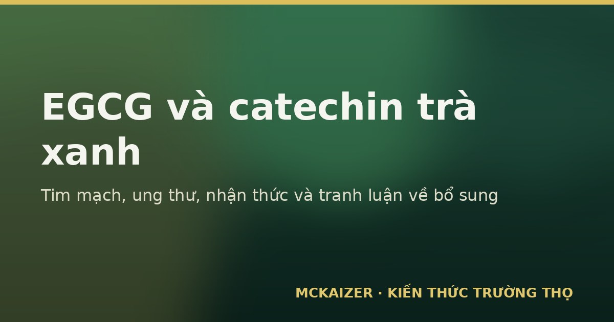 Trà xanh, catechin EGCG — bằng chứng tim mạch, ung thư và nhận thức trong tuổi thọ