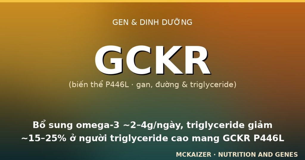 Minh hoạ gen GCKR biến thể P446L, gan, đường và triglyceride ở người Việt