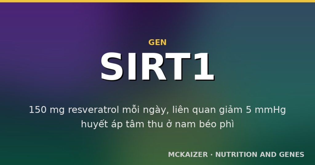 Đồ hoạ gen SIRT1: hạn chế calo, resveratrol và sức khoẻ chuyển hoá ở người Việt