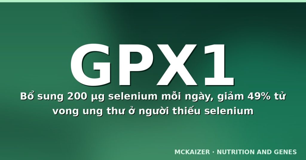 Gen GPX1 Pro198Leu, selenium và stress oxy hoá ở người Việt