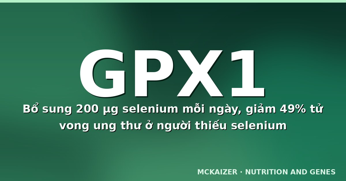 Gen GPX1 Pro198Leu, selenium và stress oxy hoá ở người Việt