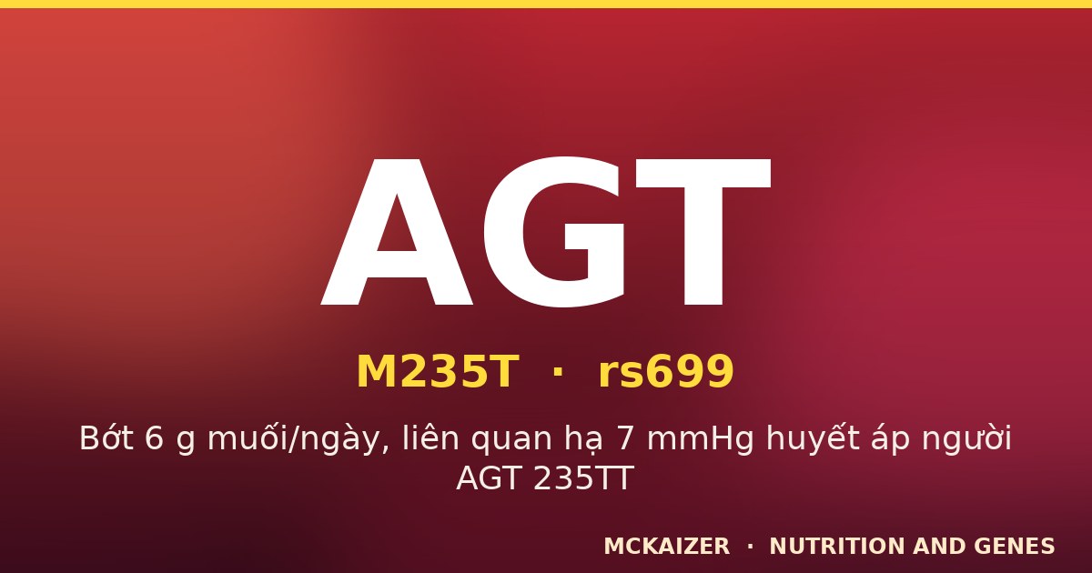 Gen AGT M235T, muối và huyết áp ở người Việt