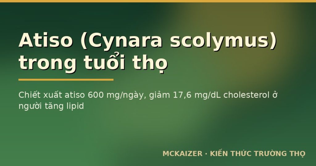 Chiết xuất atiso 600 mg/ngày, giảm 17,6 mg/dL cholesterol ở người tăng lipid