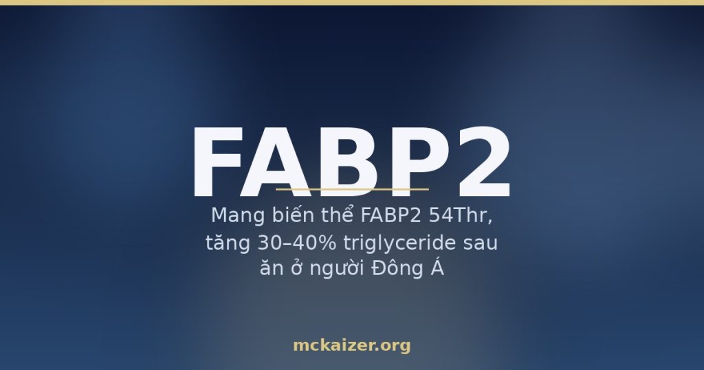 Mang biến thể FABP2 54Thr, tăng 30–40% triglyceride sau ăn ở người Đông Á