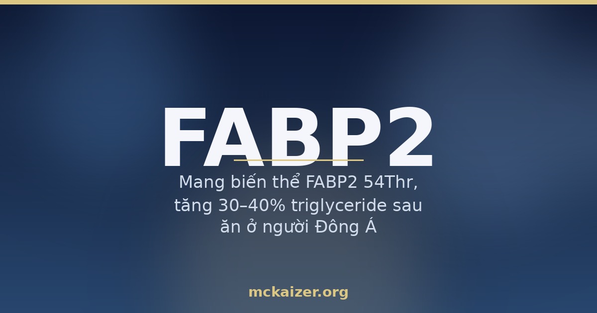 Mang biến thể FABP2 54Thr, tăng 30–40% triglyceride sau ăn ở người Đông Á