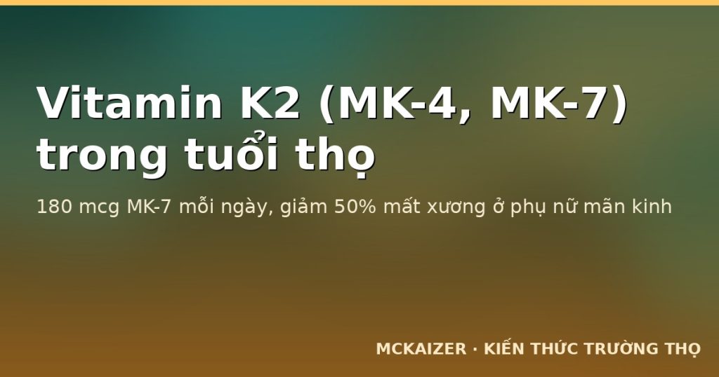 Vitamin K2 MK-4 MK-7 trong tuổi thọ — Rotterdam Study, vôi hoá mạch và xương