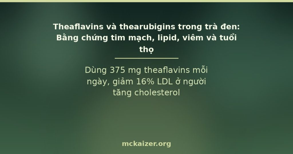 Dùng 375 mg theaflavins mỗi ngày, giảm 16% LDL ở người tăng cholesterol