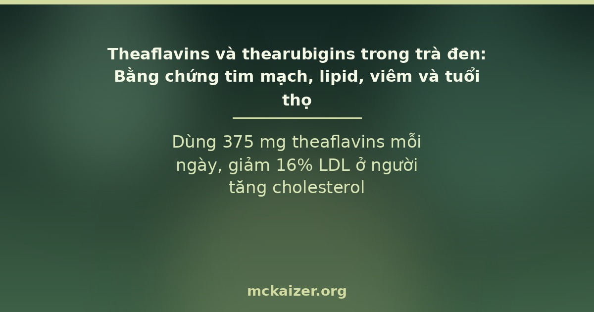 Dùng 375 mg theaflavins mỗi ngày, giảm 16% LDL ở người tăng cholesterol