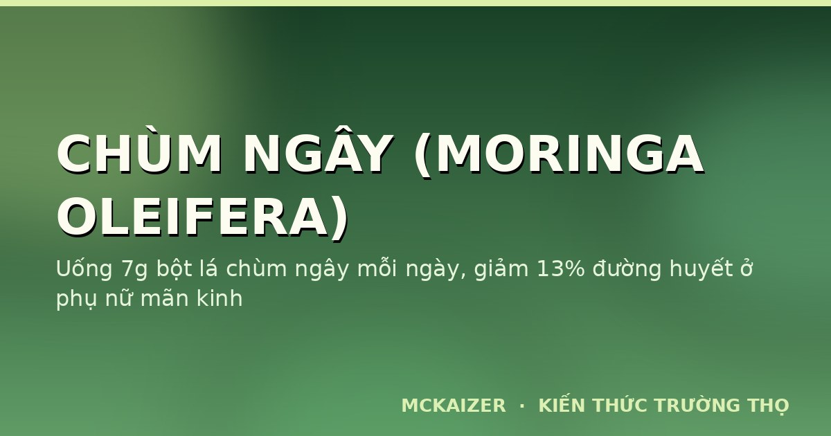 Thumbnail bài viết: Chùm ngây (Moringa oleifera) trong tuổi thọ: Bằng chứng đường huyết, lipid, huyết áp và bối cảnh ẩm thực Việt Nam