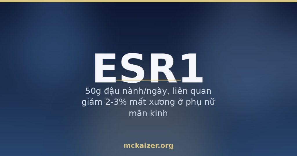 50g đậu nành/ngày, liên quan giảm 2-3% mất xương ở phụ nữ mãn kinh