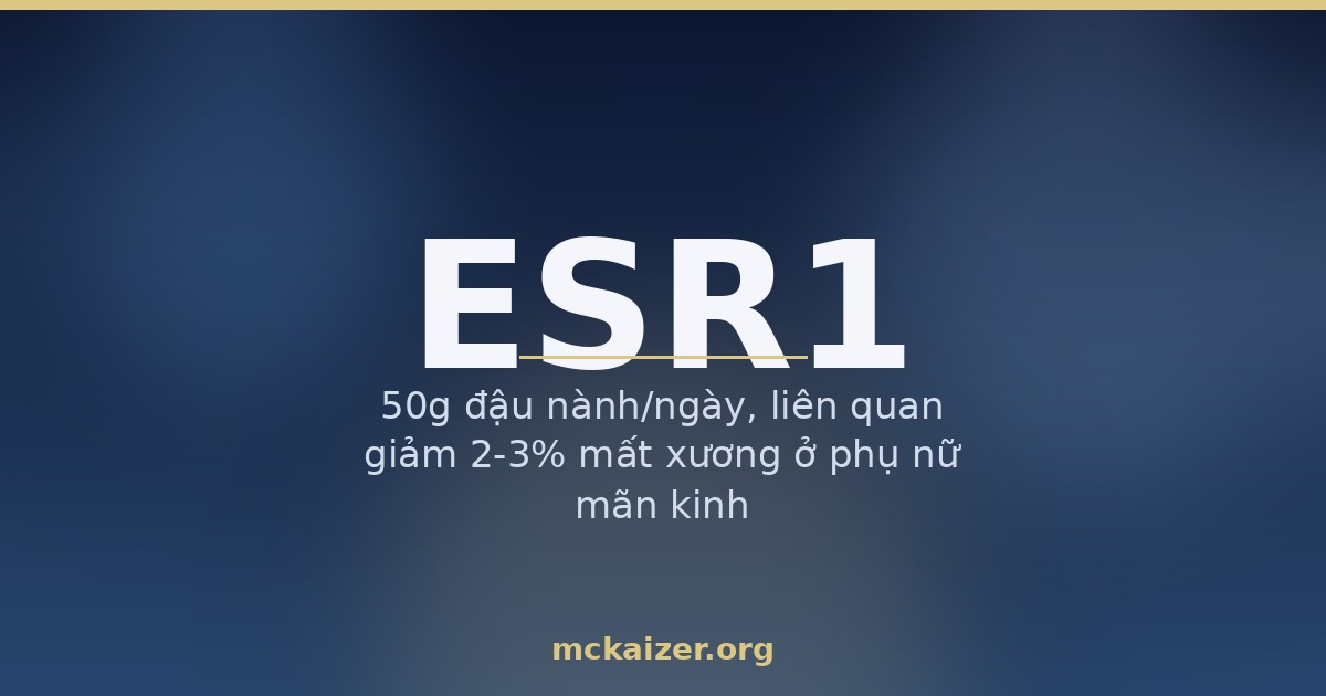 50g đậu nành/ngày, liên quan giảm 2-3% mất xương ở phụ nữ mãn kinh