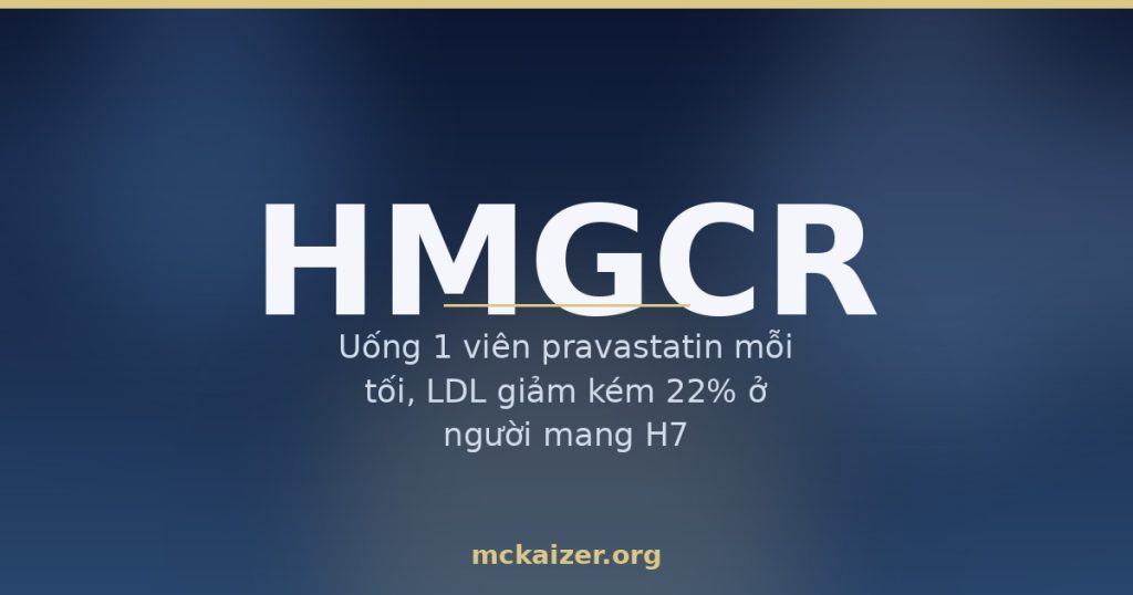 Uống 1 viên pravastatin mỗi tối, LDL giảm kém 22% ở người mang H7