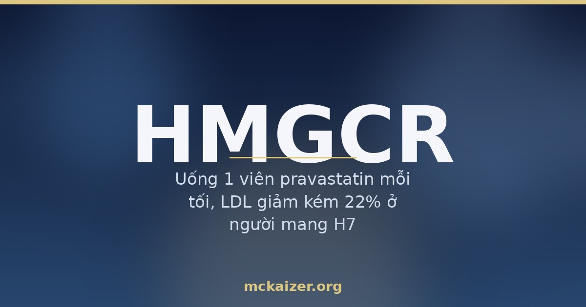 Uống 1 viên pravastatin mỗi tối, LDL giảm kém 22% ở người mang H7