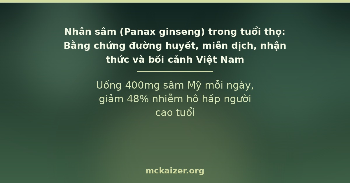 Uống 400mg sâm Mỹ mỗi ngày, giảm 48% nhiễm hô hấp người cao tuổi