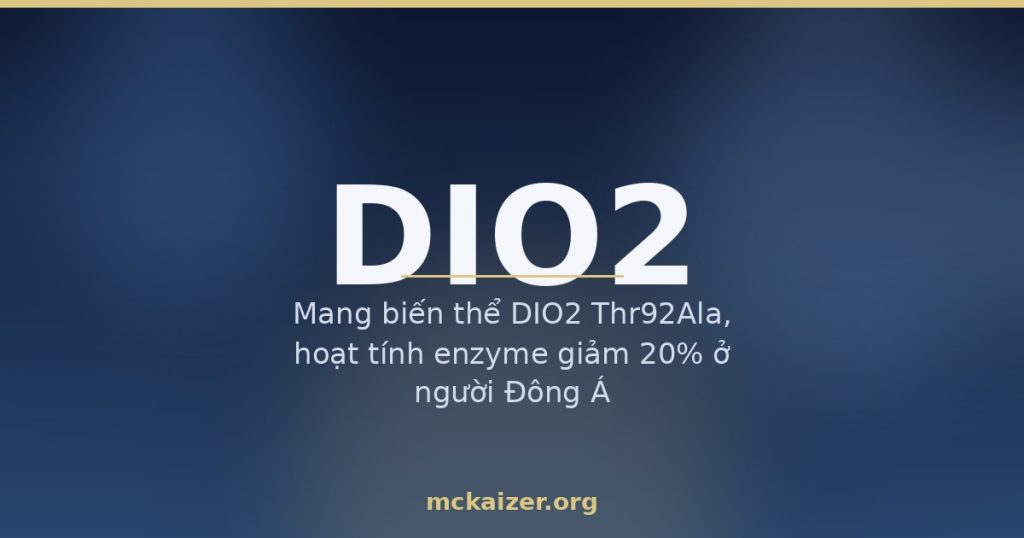 Mang biến thể DIO2 Thr92Ala, hoạt tính enzyme giảm 20% ở người Đông Á