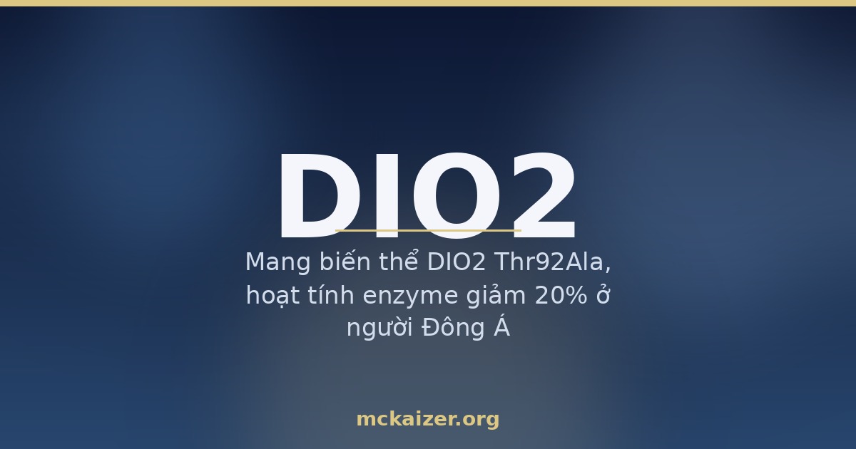 Mang biến thể DIO2 Thr92Ala, hoạt tính enzyme giảm 20% ở người Đông Á