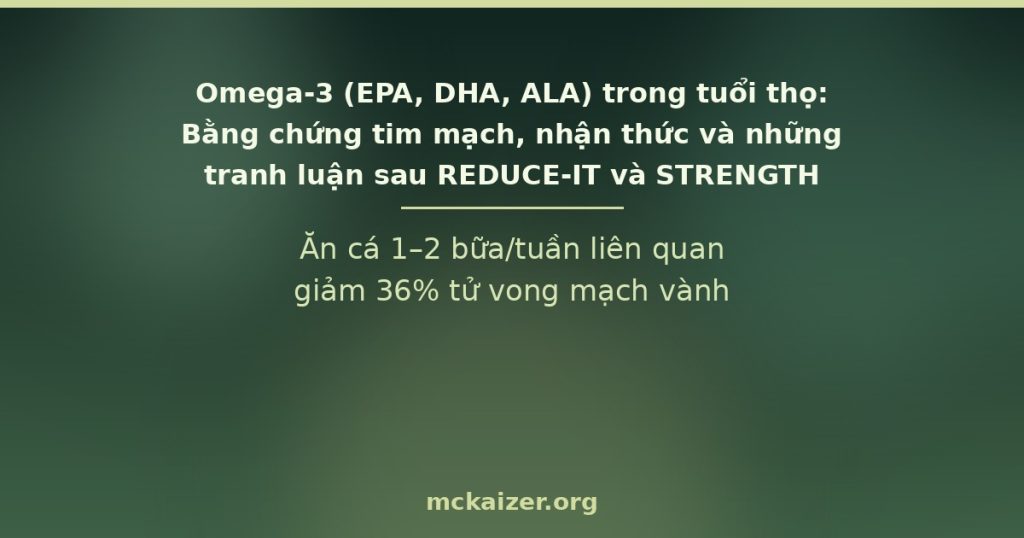Ăn cá 1–2 bữa/tuần liên quan giảm 36% tử vong mạch vành