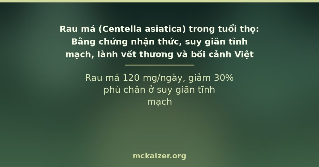Rau má (Centella asiatica) — Rau má 120 mg/ngày, giảm 30% phù chân ở suy giãn tĩnh mạch.