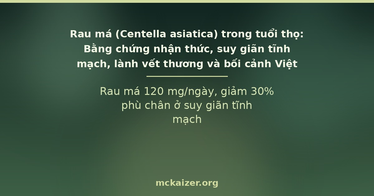Rau má (Centella asiatica) — Rau má 120 mg/ngày, giảm 30% phù chân ở suy giãn tĩnh mạch.