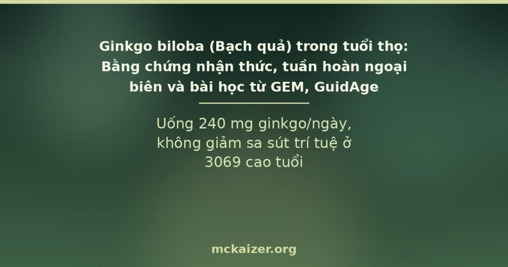 Uống 240 mg ginkgo/ngày, không giảm sa sút trí tuệ ở 3069 cao tuổi