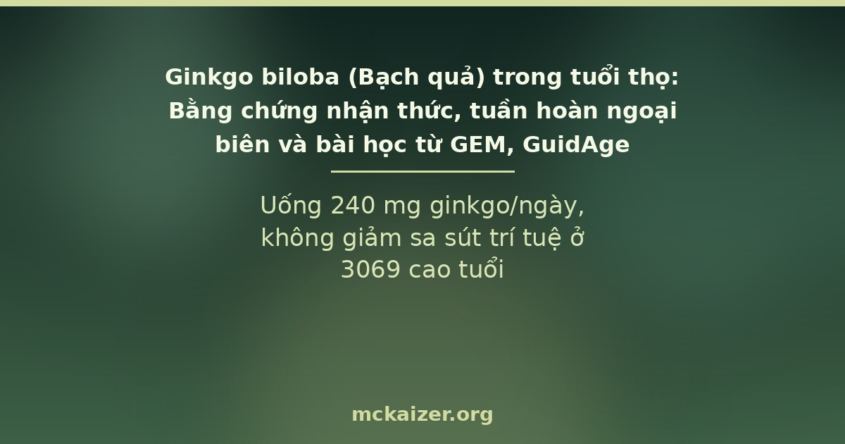 Uống 240 mg ginkgo/ngày, không giảm sa sút trí tuệ ở 3069 cao tuổi