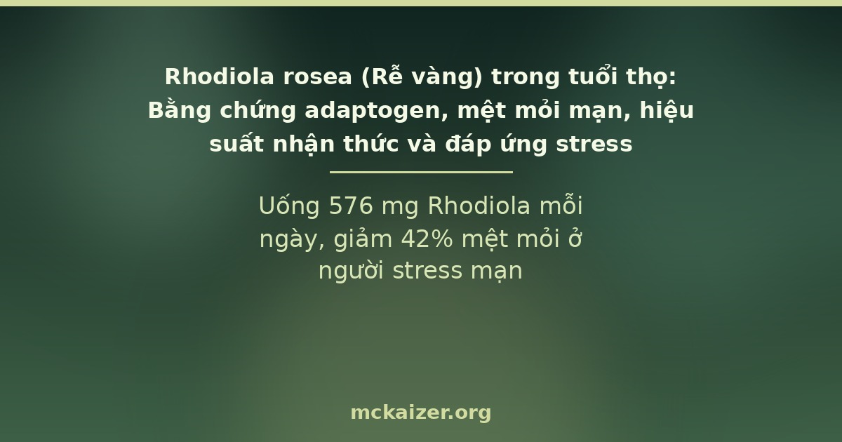 Rhodiola rosea — adaptogen từ vùng núi cao Bắc Âu và Siberia, bằng chứng RCT về mệt mỏi mạn và stress