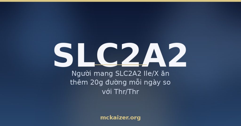 Thumbnail gen SLC2A2 GLUT2 mckaizer.org